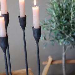 Château Noir 6-Arm Candlestick