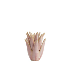 Cala Cactus Candle Holder