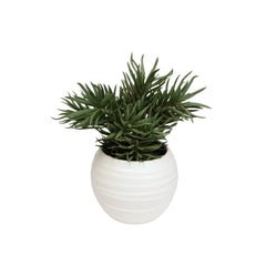 Faux Sedium Potted Plant