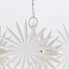 Bismarkia 10 lt Medium Chandelier