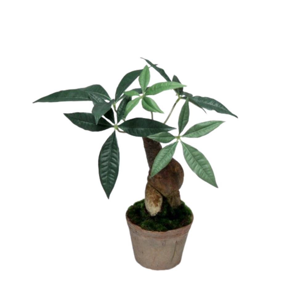 Faux Malabai Chestnut Potted Plant