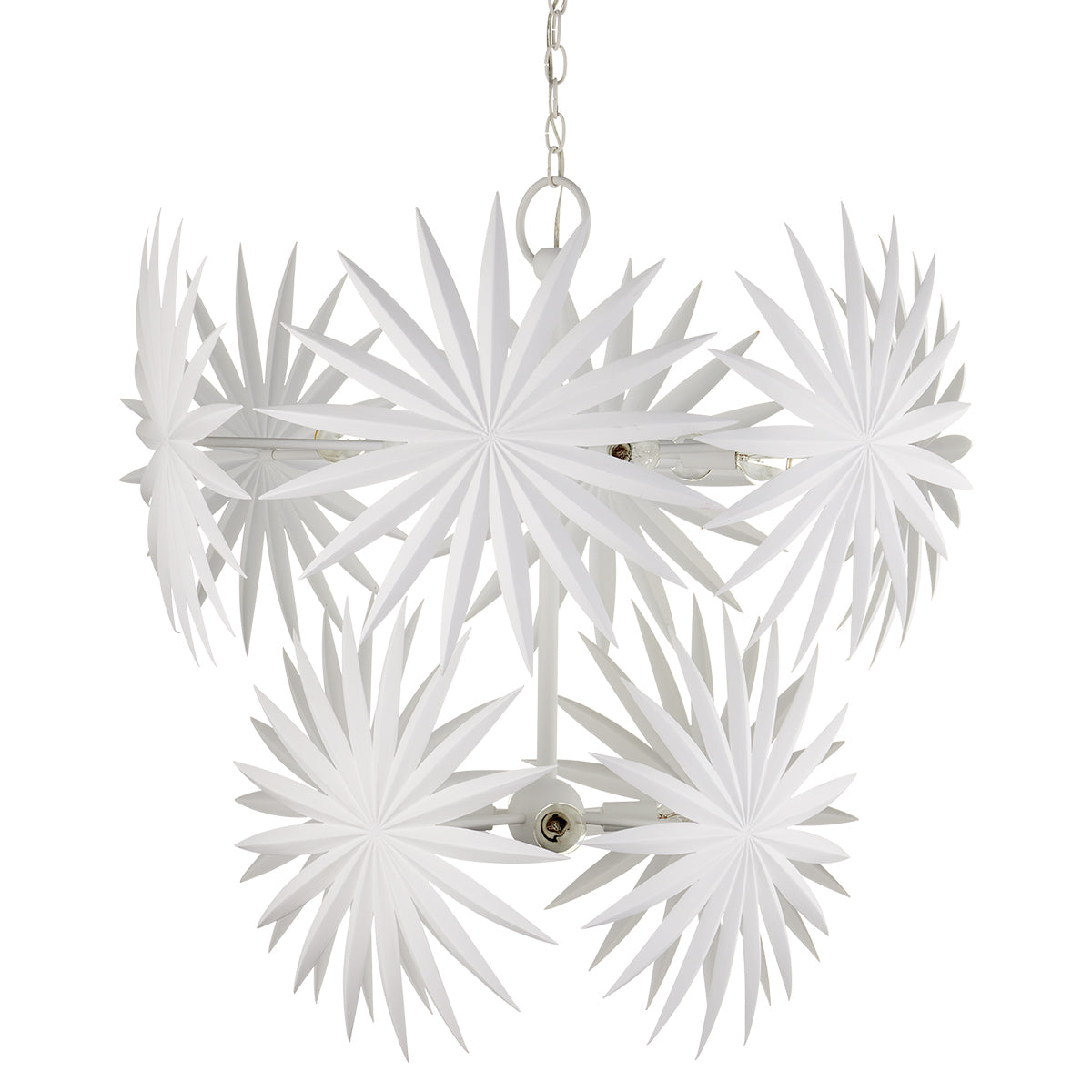 Bismarkia 10 lt Medium Chandelier