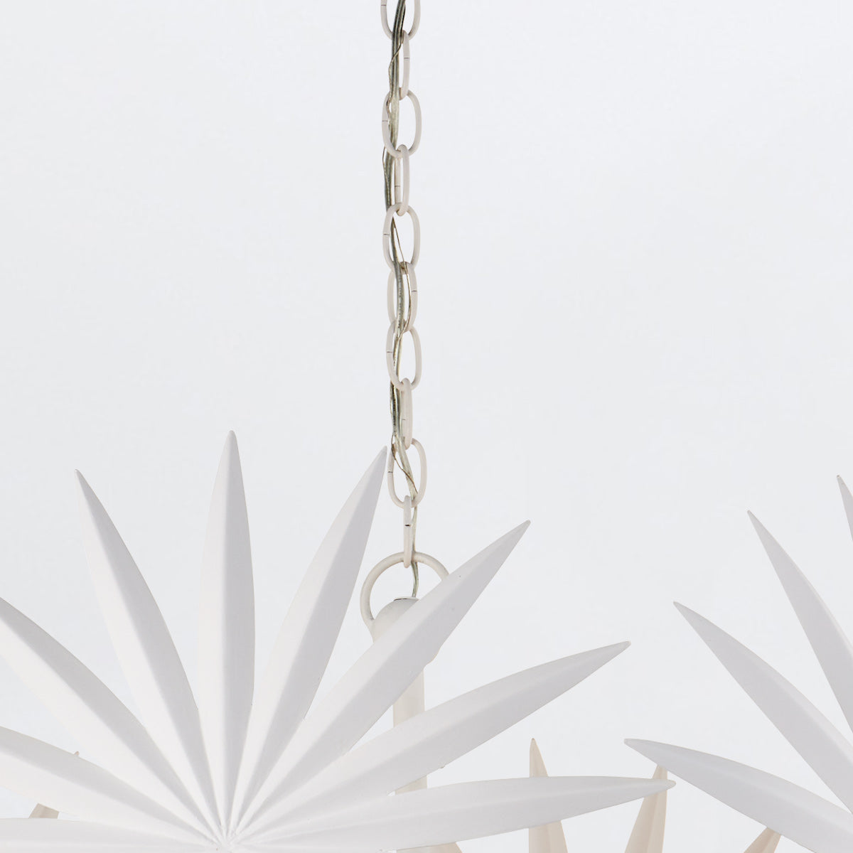 Bismarkia 6 lt Small Chandelier
